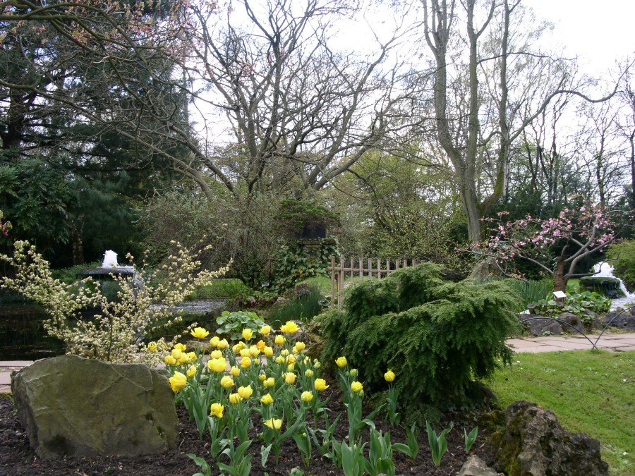 Gleich neben dem BayKomm, in dem üblicherweise der Landeswettbewerb stattfindet, befindet sich der "Japanische Garten".