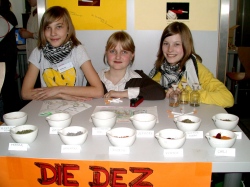 Michèle Erler, Leonie Zeyen und Paula Pütz - Regionalwettbewerb