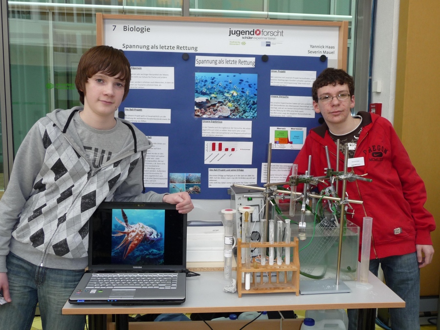 Severin Mauel and Yannick Haas at their exhibit at the regional contest